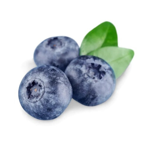 Blueberry Seed Oil (30g)