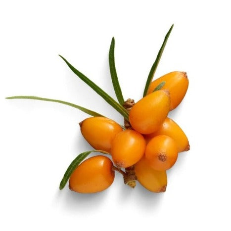 Organic Seabuckthorn oil (30ml)